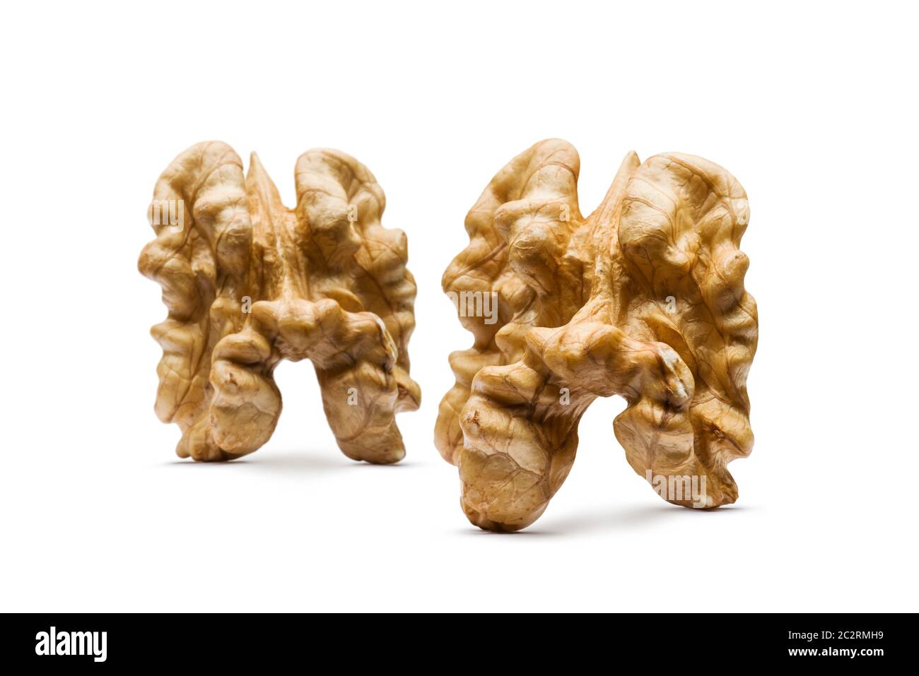 two walnuts without shell on white background Stock Photo