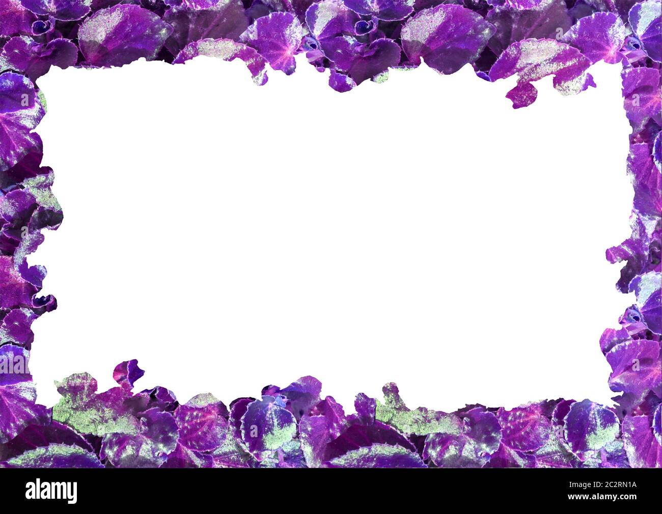 White Frame with Decorated Borders Stock Photo