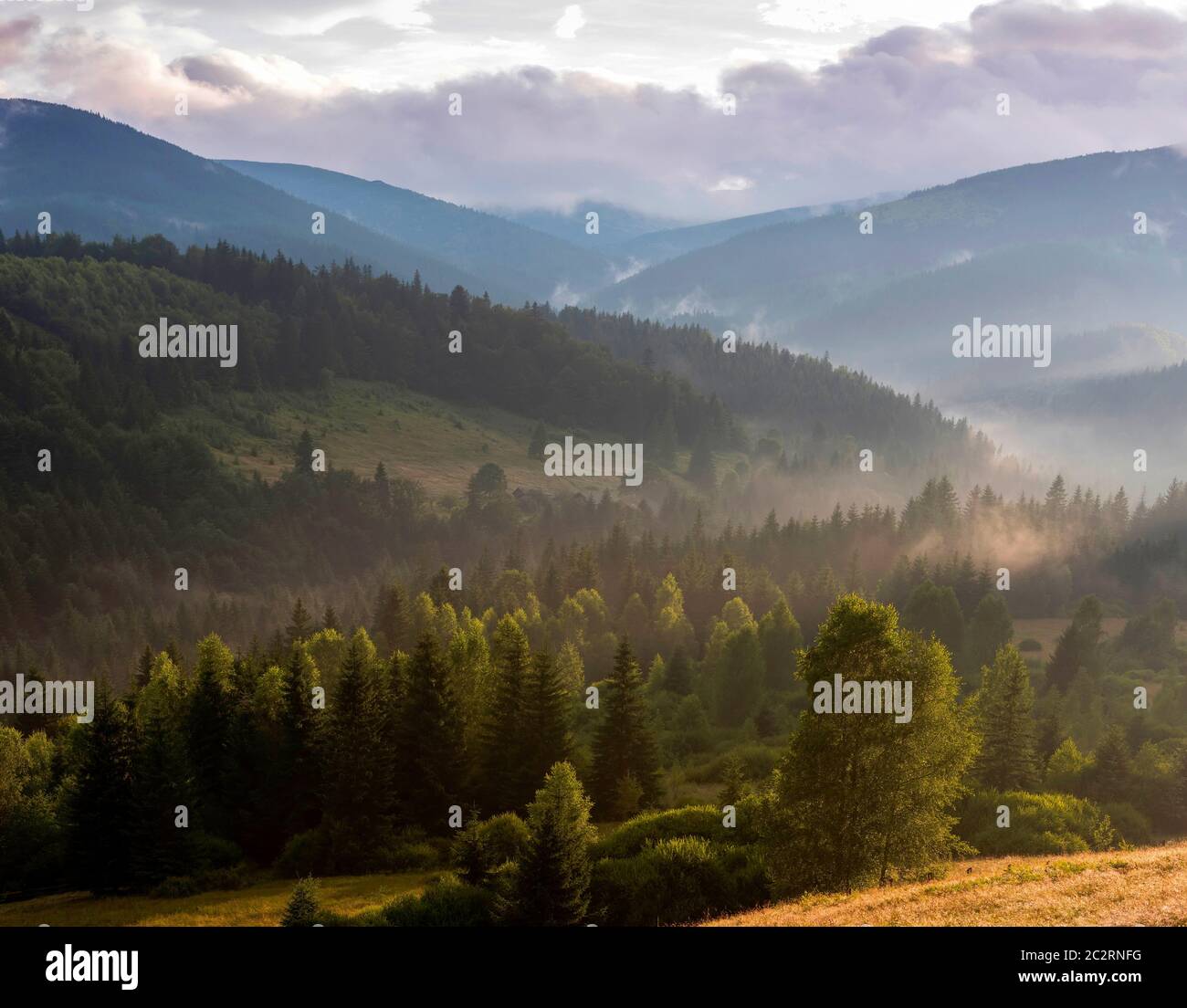 Beautiful mountain landscape with wooded slopes. Summer evening after rain in the Carpathians Stock Photo