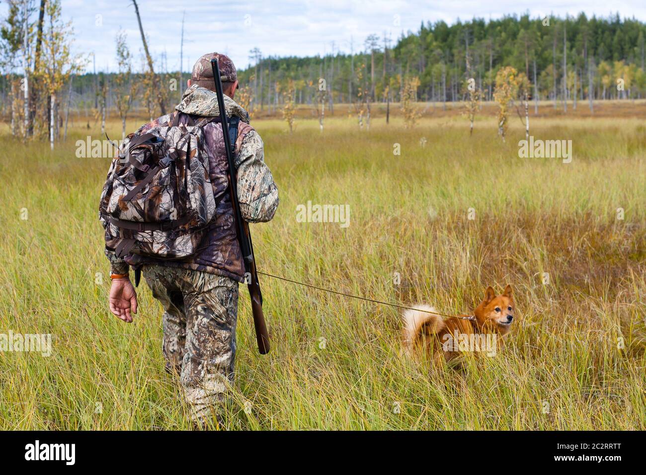 hunter with dog on the swamp Stock Photo