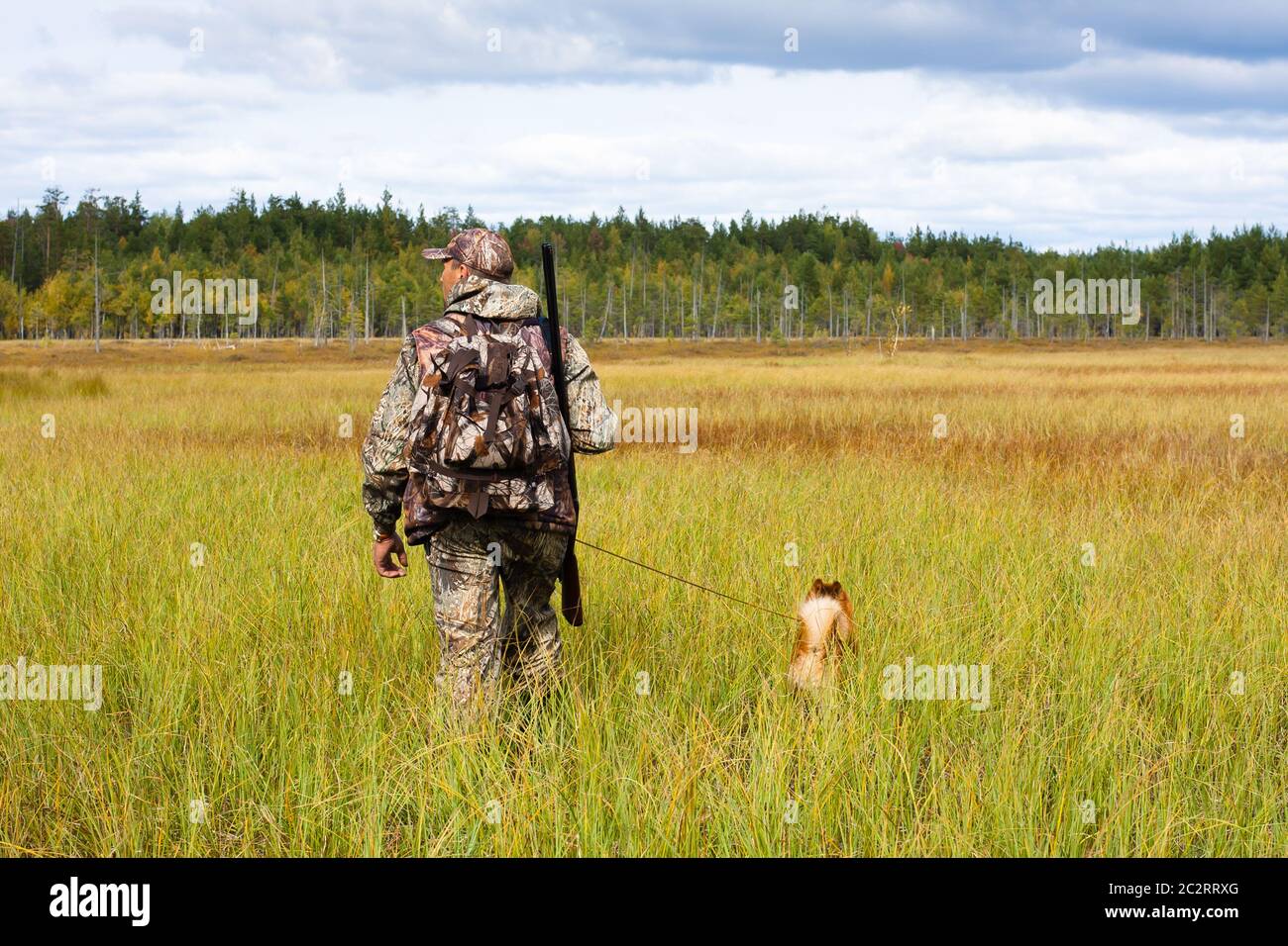 hunter with dog on the swamp Stock Photo