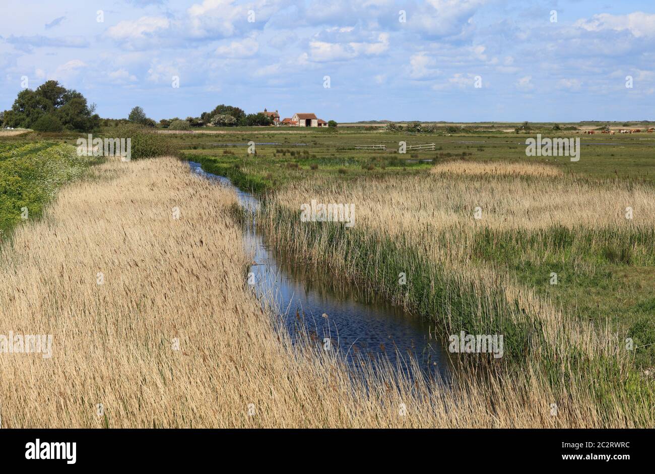 Grazing marsh at Burnham Norton on the North Norfolk coast. Stock Photo