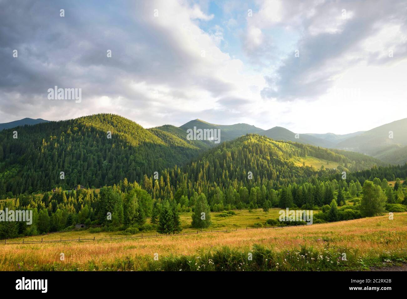 Beautiful mountain landscape with wooded slopes. Summer evening in the Carpathians Stock Photo