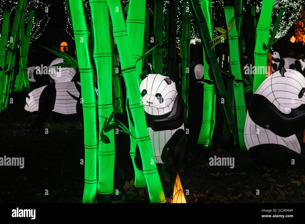 France Gaillac Tarn 12-2018: The festival of lanterns one of the ...