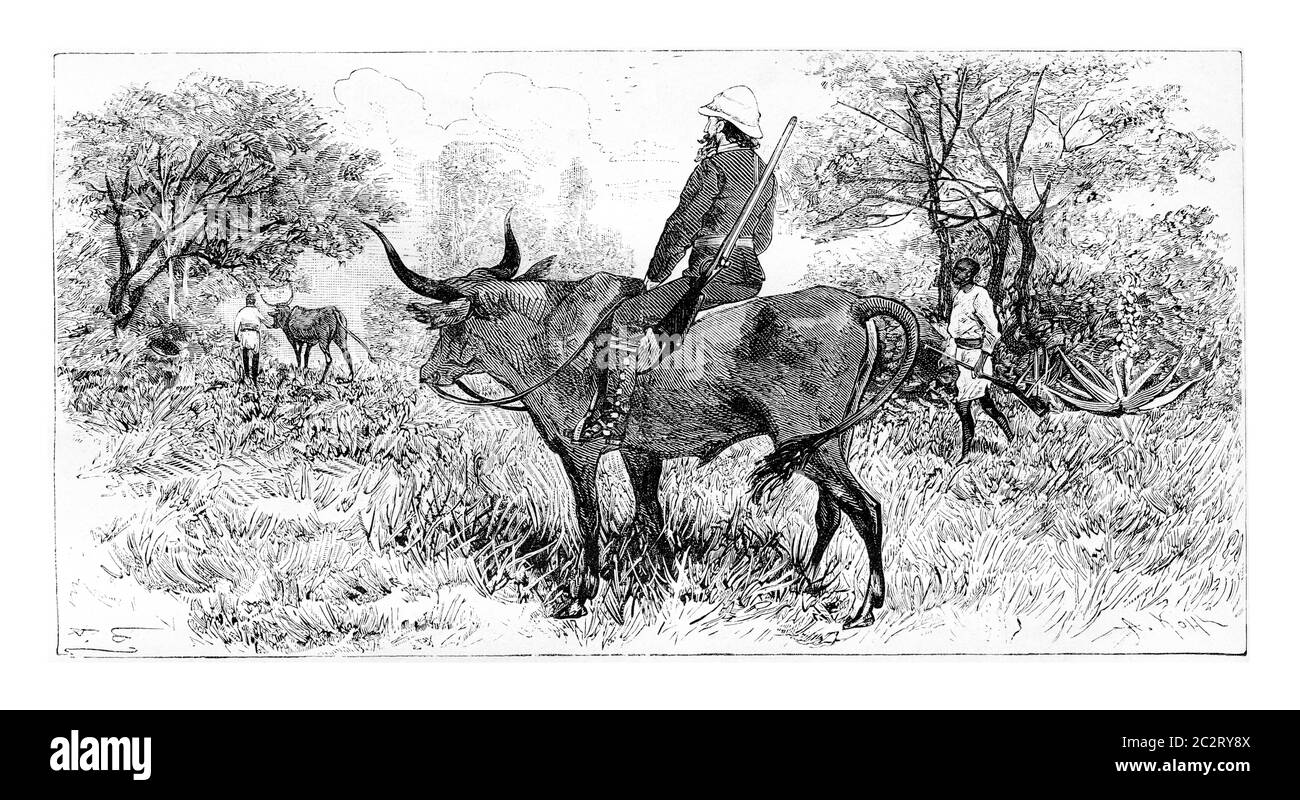 Soldier Riding a Buffalo in Angola, Southern Africa, drawing by Ferdinandus based on a sketch by Serpa Pinto, vintage engraved illustration. Le Tour d Stock Photo