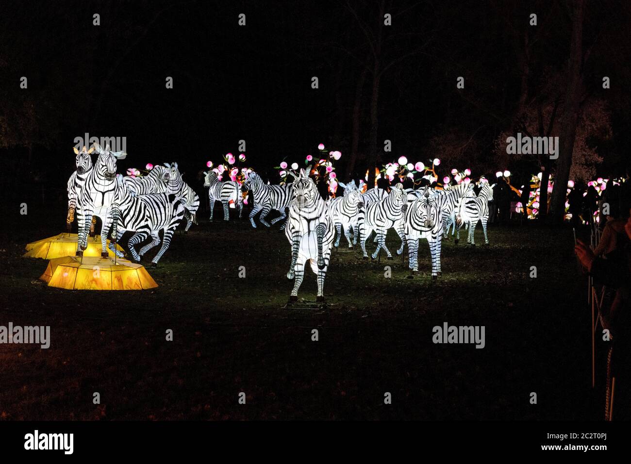 France Gaillac Tarn 12-2018: The festival of lanterns one of the ...