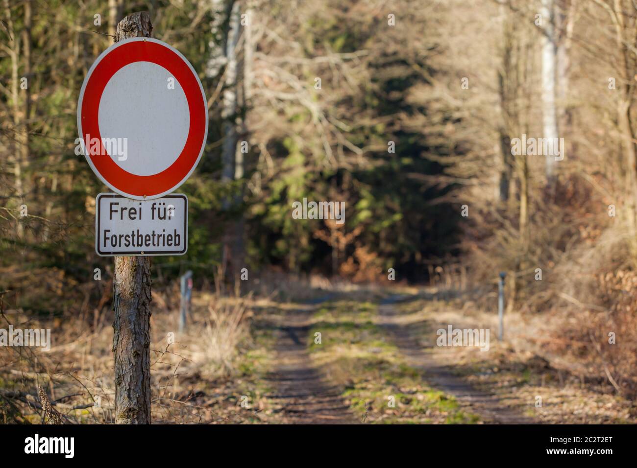 driving on forest paths forbidden Stock Photo