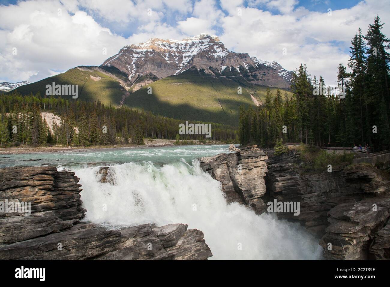 The Athabasca falls in Jasper National Park, Alberta, Canada Stock Photo