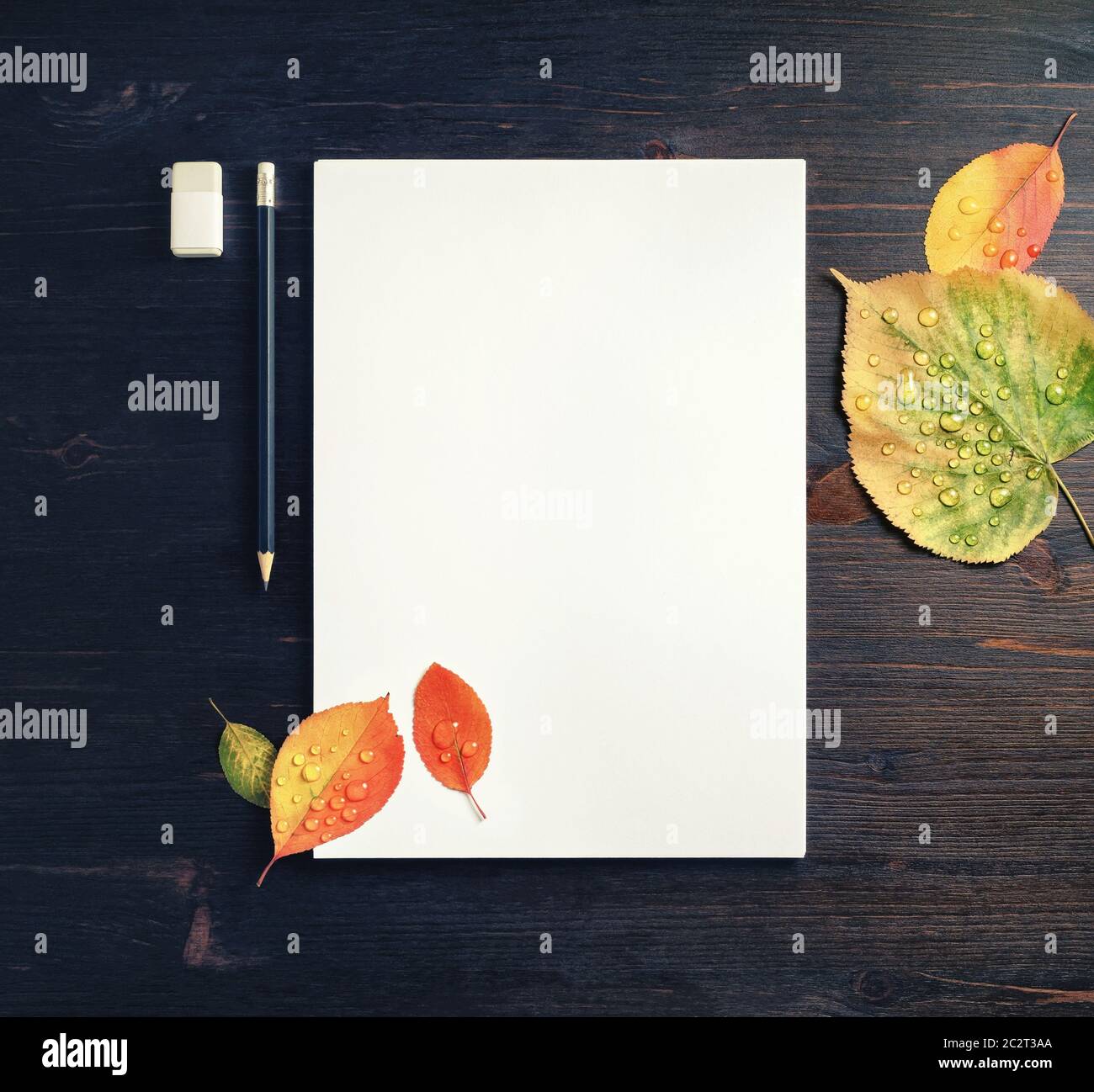 Paper, pencil, eraser, leaves Stock Photo Alamy