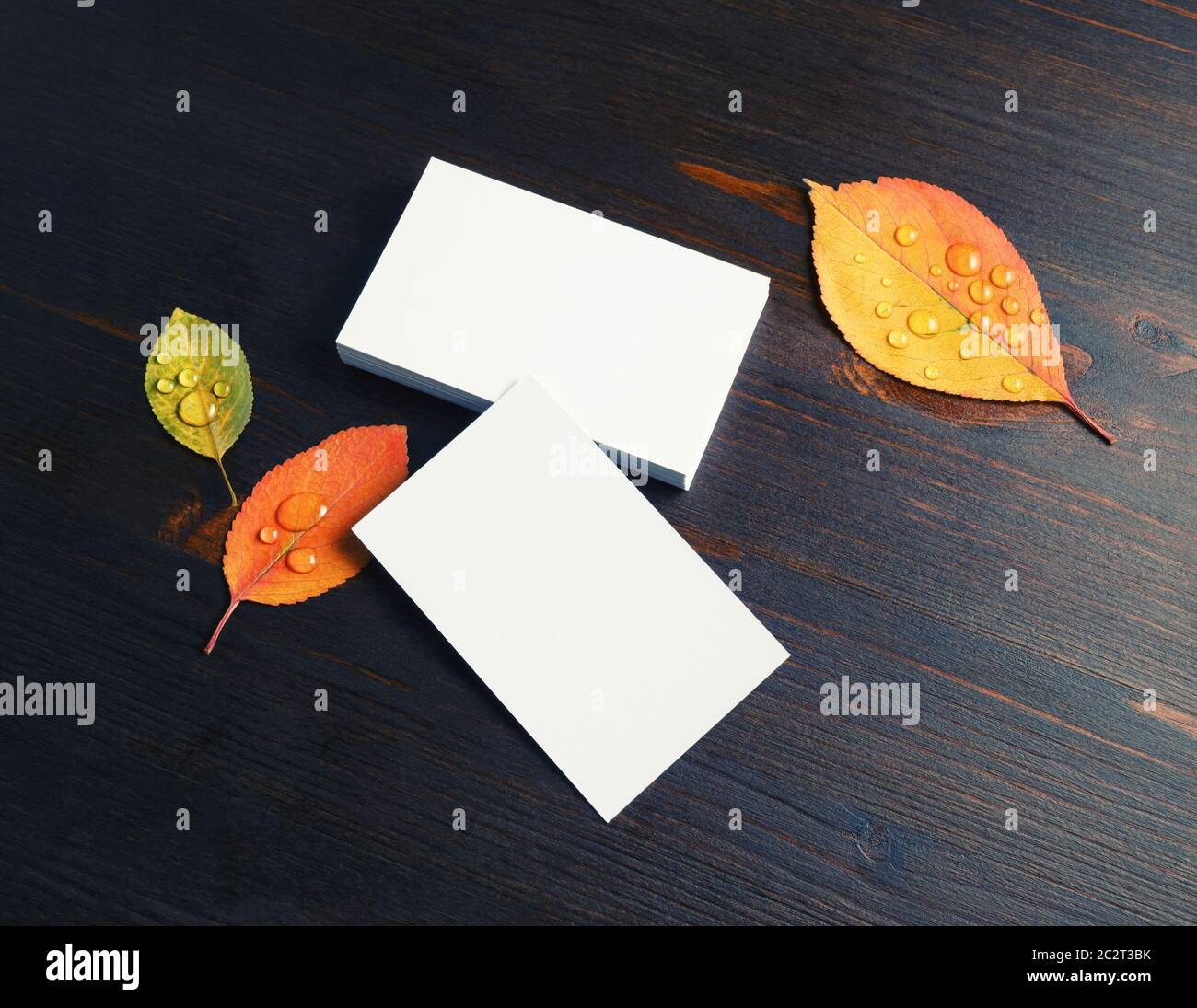Blank business cards Stock Photo