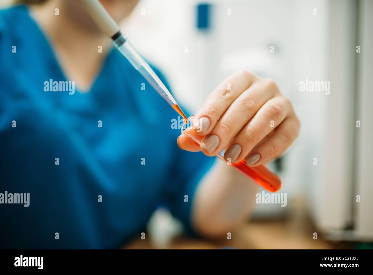 Samples of animal tests in the veterinary clinic. Working with analyzes in vet laboratory Stock Photo