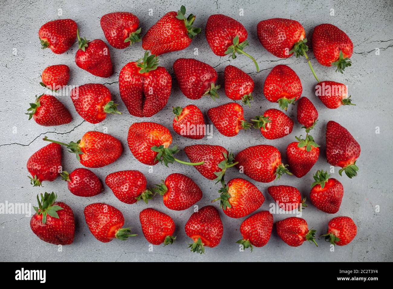 hessian ribbon spotlight