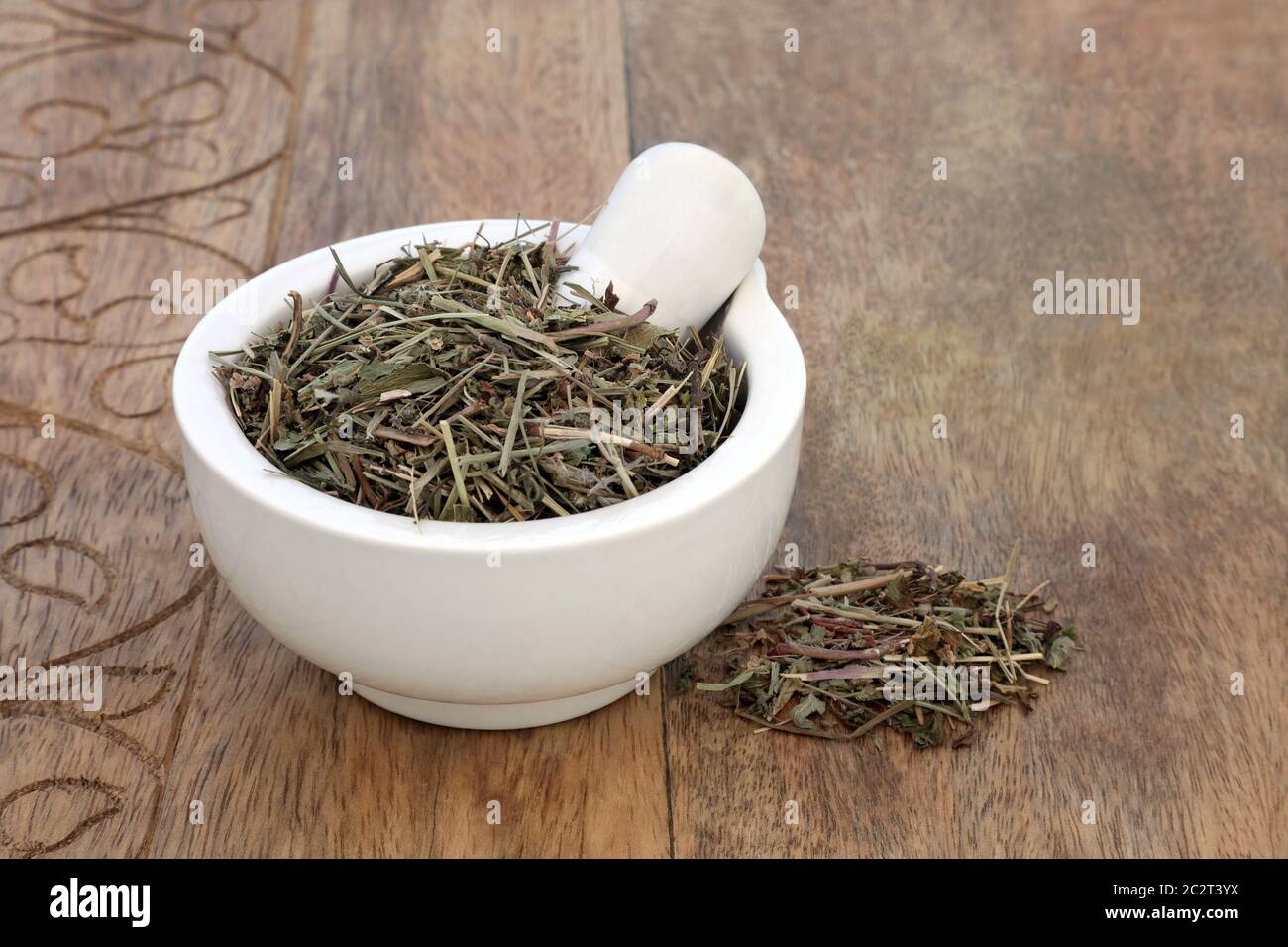 Speedwell herb in a mortar with pestle used in herbal medicine as a