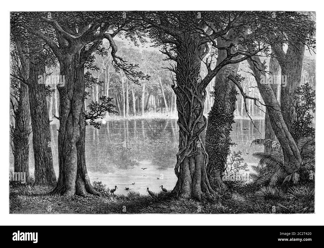 Lake Ligouri, in Angola, Southern Africa, drawing by De Bar based on the English edition, vintage illustration. Le Tour du Monde, Travel Journal, 1881 Stock Photo
