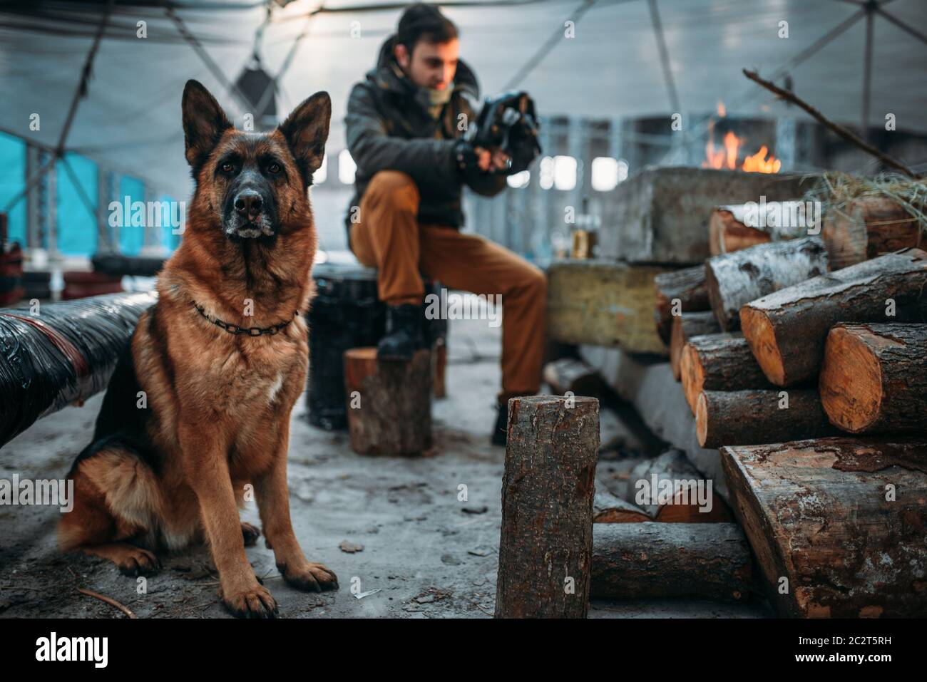 Stalker measures the radiation level in nuclear explosion zone against his dog. Post apocalyptic lifestyle on ruins, doomsday, judgment day Stock Photo