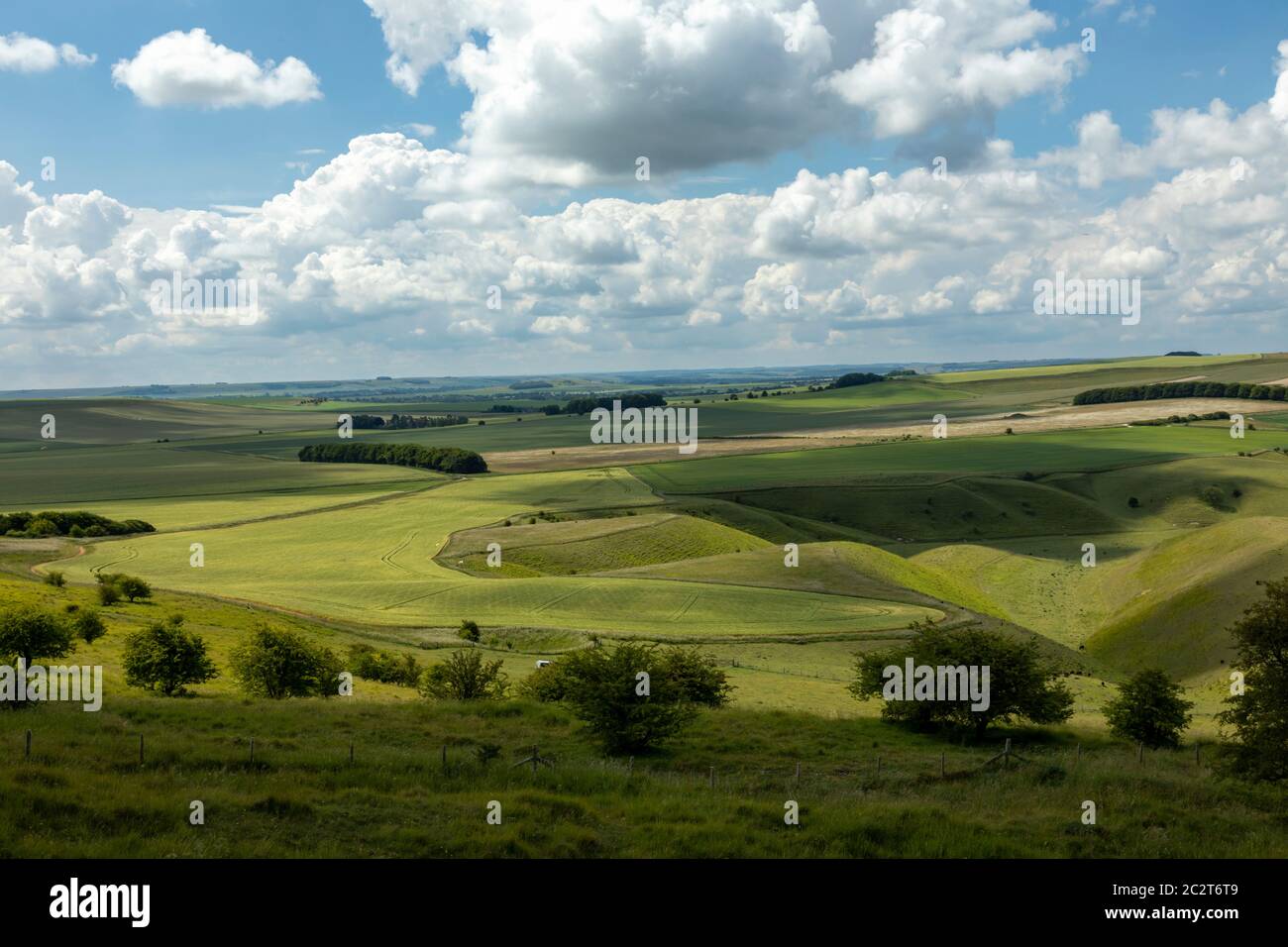 Views of the chalk Wiltshire Downs from Cherhill Oldbury Castle Hill