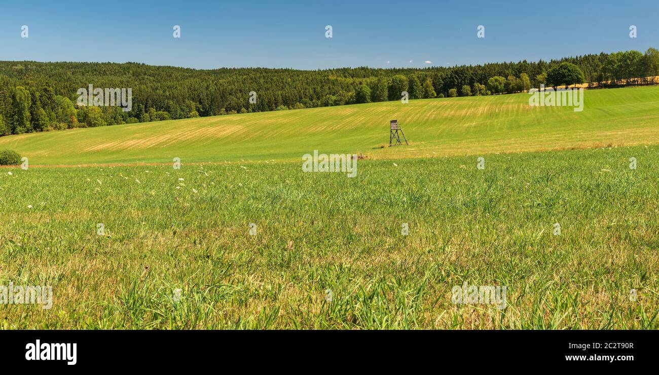 rolling landscape with meadow with hunting blind, smaler hills of Elstergebirge mountains covered by forest and clear sky near Markneukirchen town in Stock Photo