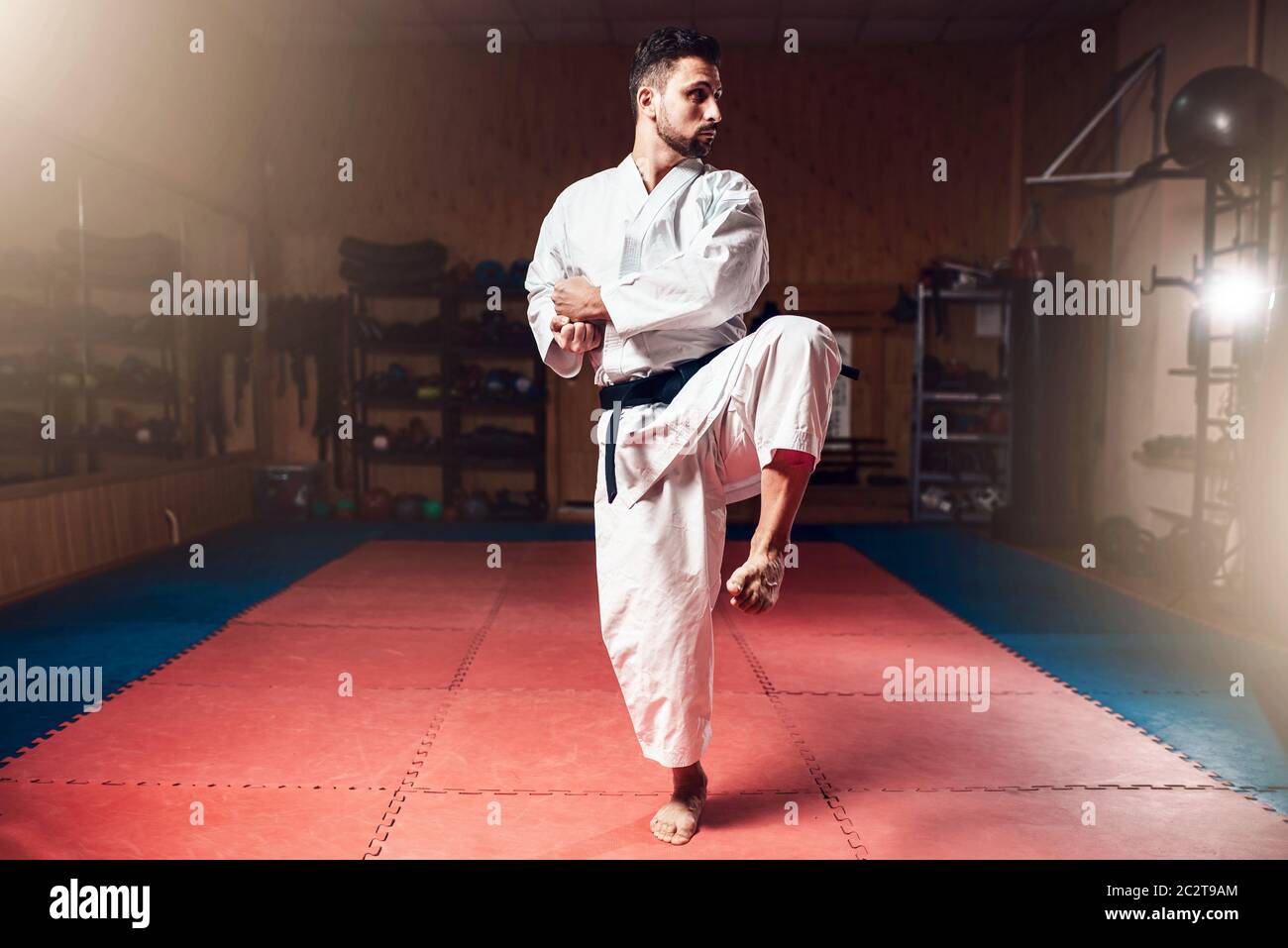 Martial arts master in white kimono with black belt, karate training in