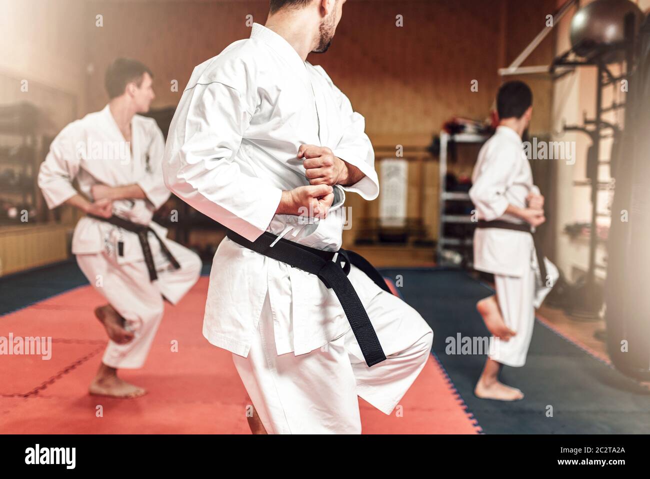 Martial arts karate fighters in white kimono and black belts on workout