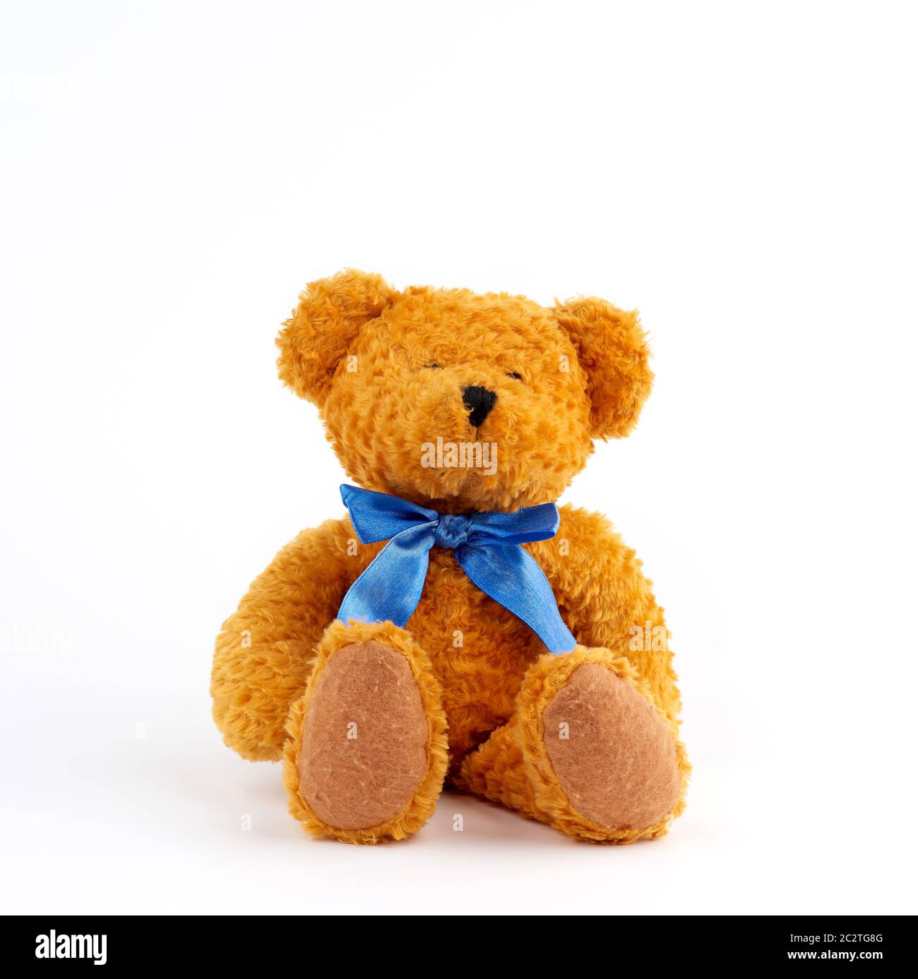 cute brown teddy bear with a blue bow on his neck isolated on white ...