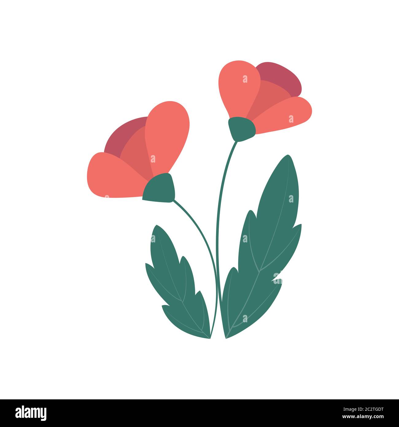 Colorful flower isolated on a white background for design and theme ...