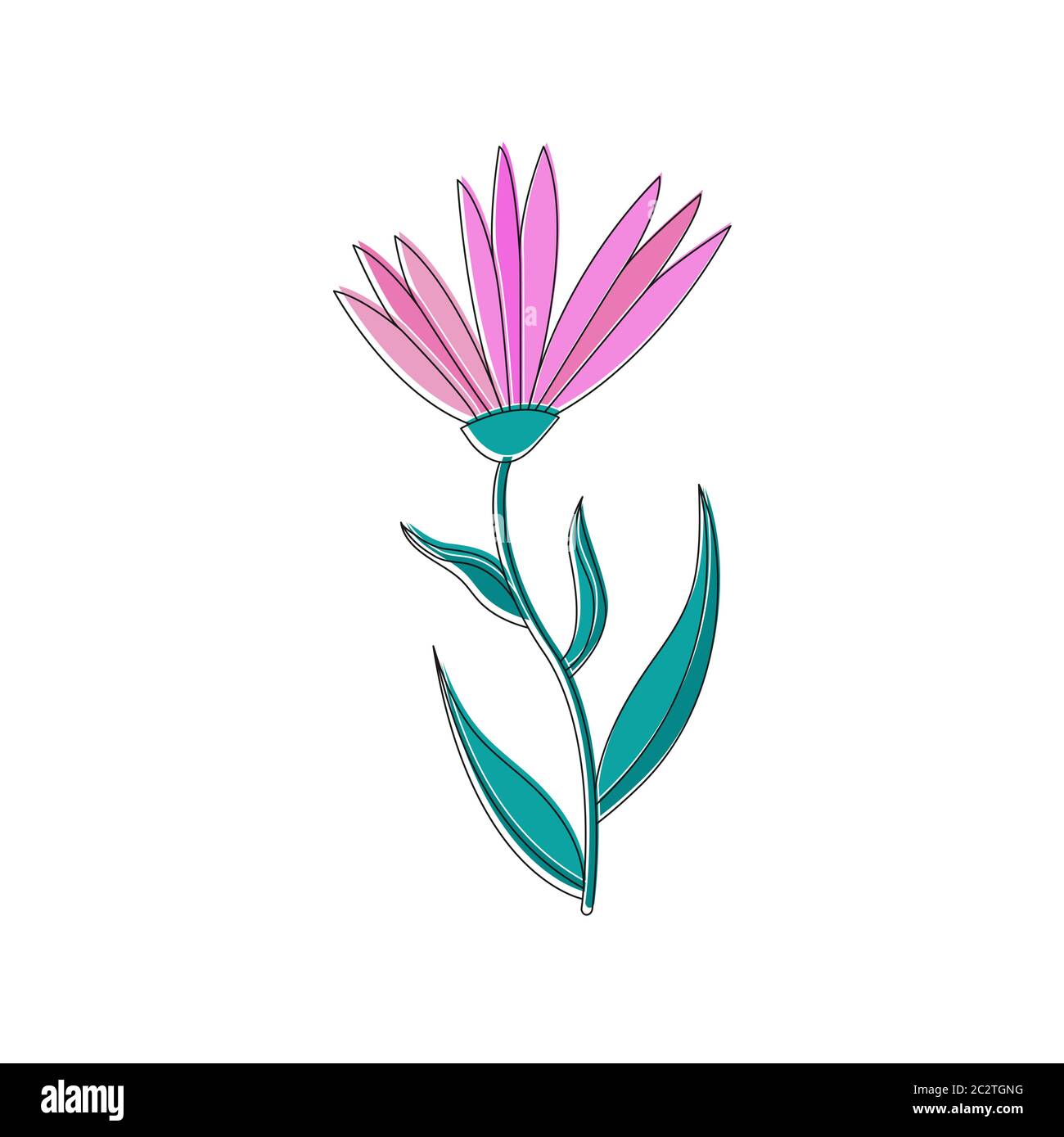 Colorful flower isolated on a white background for design and theme ...