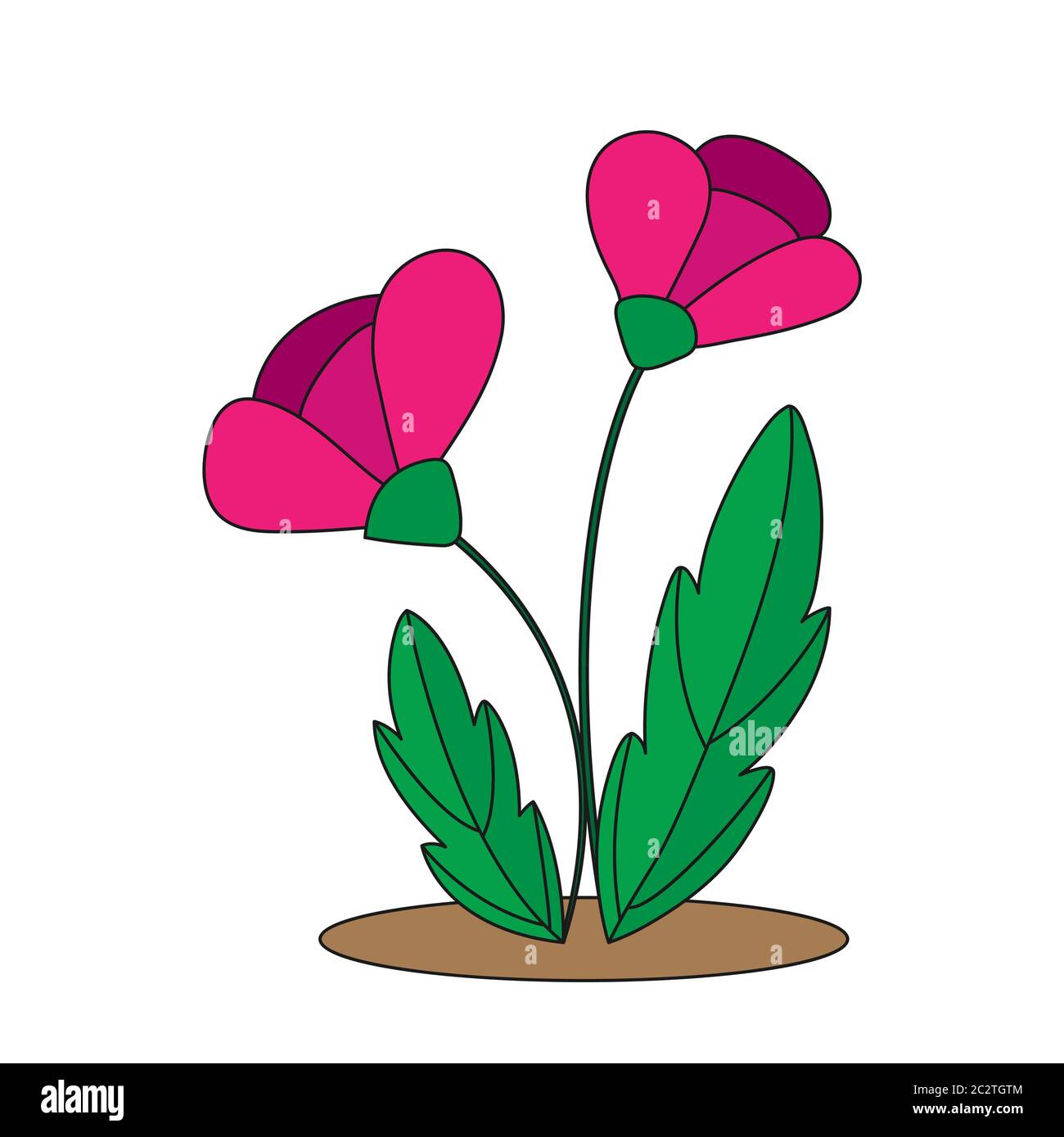 Colorful flower isolated on a white background for design and theme ...