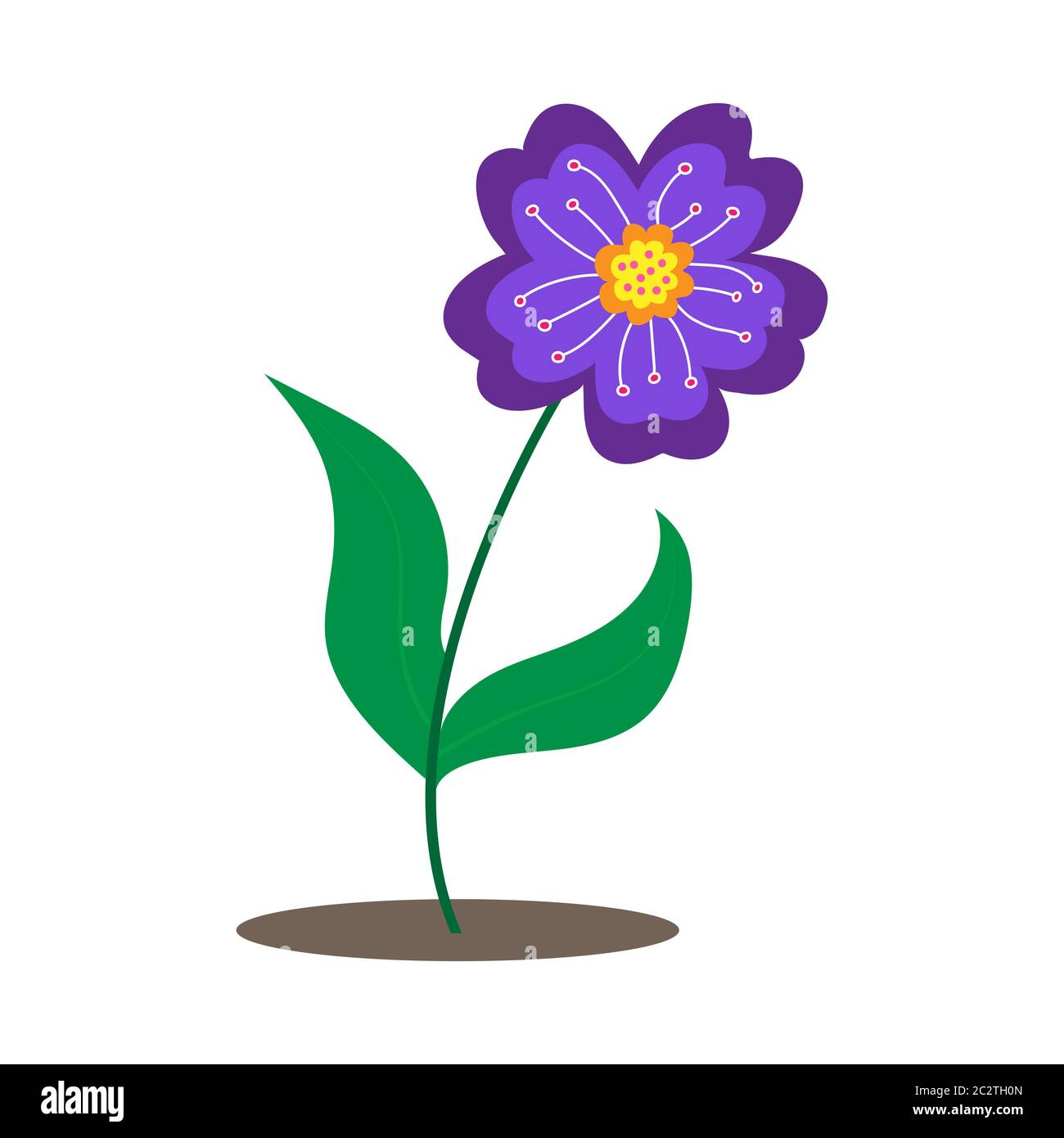 Colorful flower isolated on a white background for design and theme ...