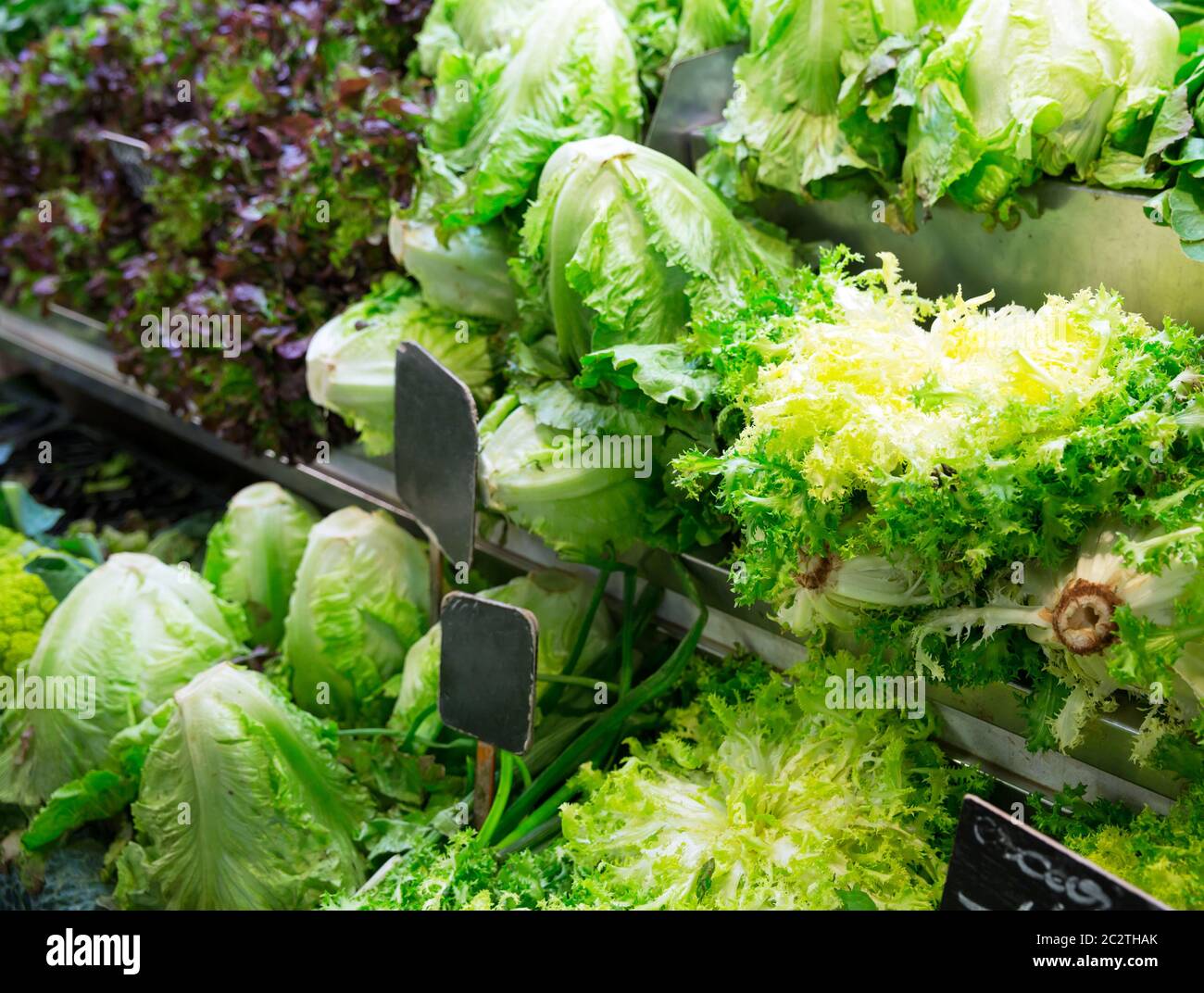 Assorted cabbages in local market Stock Photo