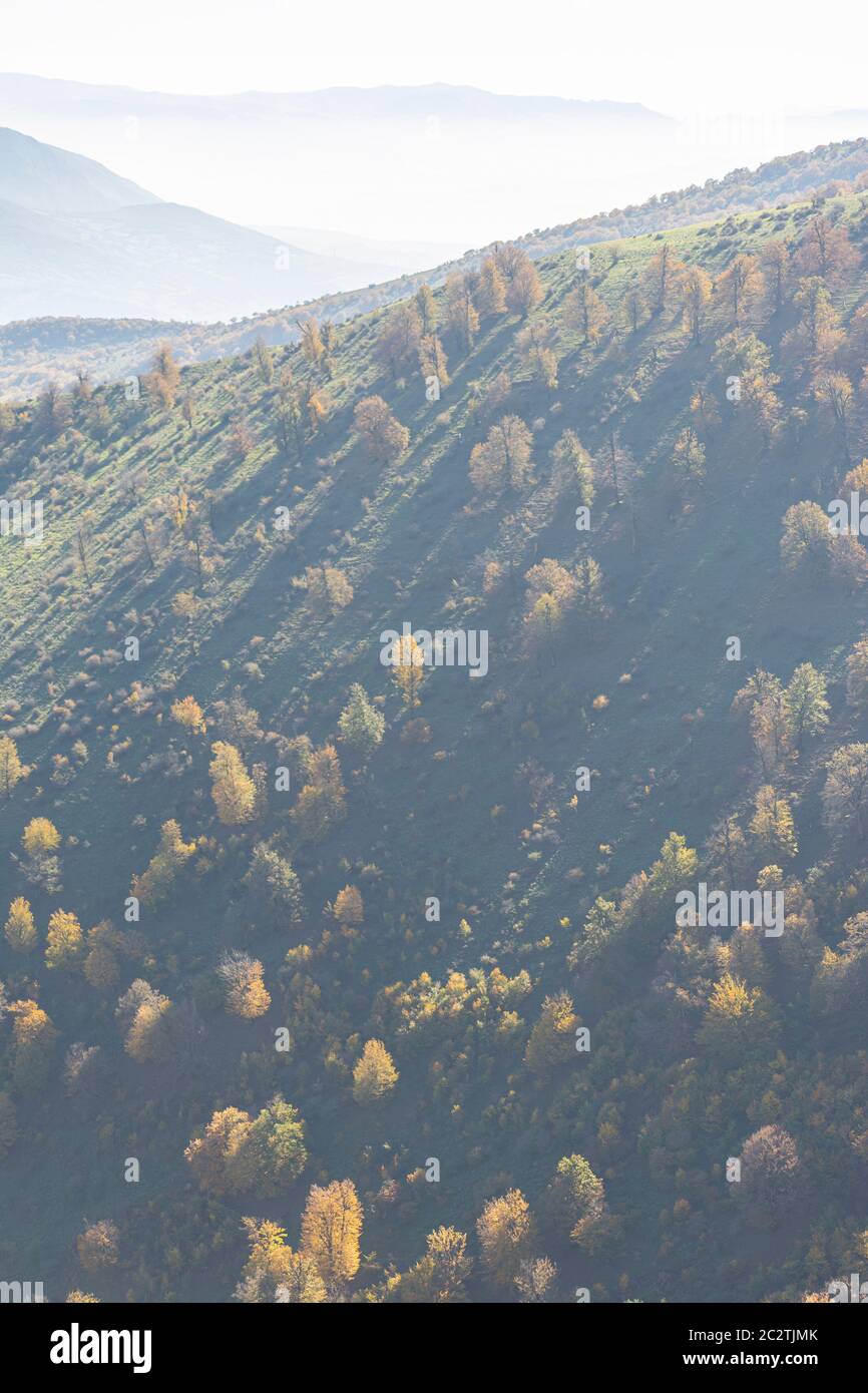 Autumn nature landscape with trees shadows at green hills Stock Photo
