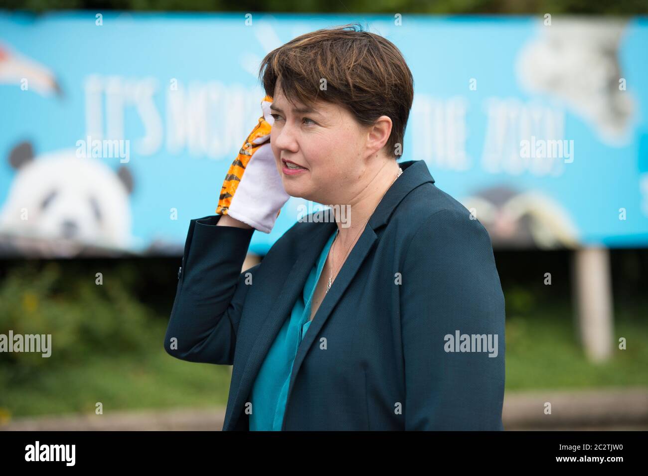 Edinburgh, Scotland, UK. 18th June 2020. Pictured: Ruth Davidson MSP - Former Leader of the Scottish Conservative and Unionist Paary, seen campaigning on the steps of the zoo with posters and animal puppets for the safe re-opening of Edinburgh Zoo as part of phase 2 easing of lockdown restrictions. Credit: Colin Fisher/Alamy Live News Stock Photo