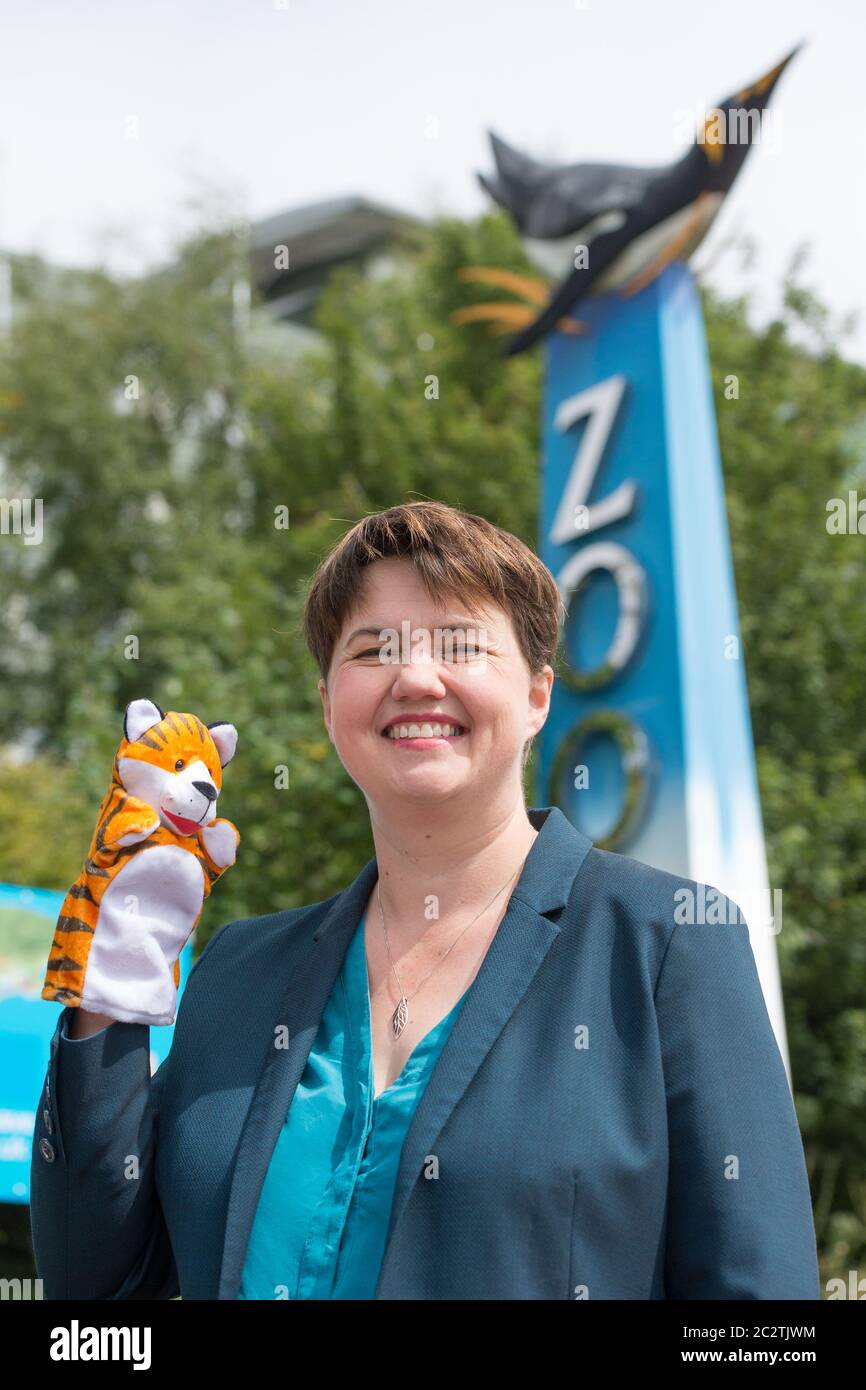 Edinburgh, Scotland, UK. 18th June 2020. Pictured: Ruth Davidson MSP - Former Leader of the Scottish Conservative and Unionist Paary, seen campaigning on the steps of the zoo with posters and animal puppets for the safe re-opening of Edinburgh Zoo as part of phase 2 easing of lockdown restrictions. Credit: Colin Fisher/Alamy Live News Stock Photo