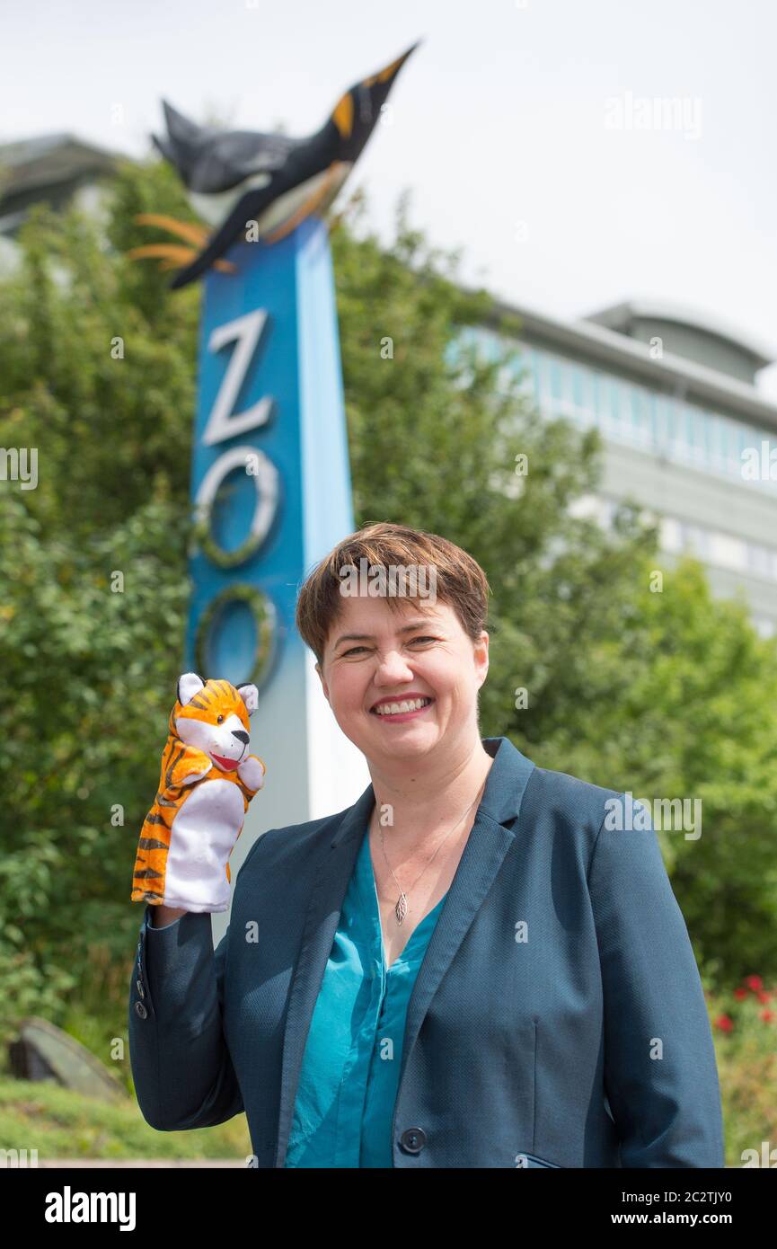 Edinburgh, Scotland, UK. , . Pictured: Ruth Davidson MSP - Former Leader of the Scottish Conservative and Unionist Paary, seen campaigning on the steps of the zoo with posters and animal puppets for the safe re-opening of Edinburgh Zoo as part of phase 2 easing of lockdown restrictions. Credit: Colin Fisher/Alamy Live News Stock Photo