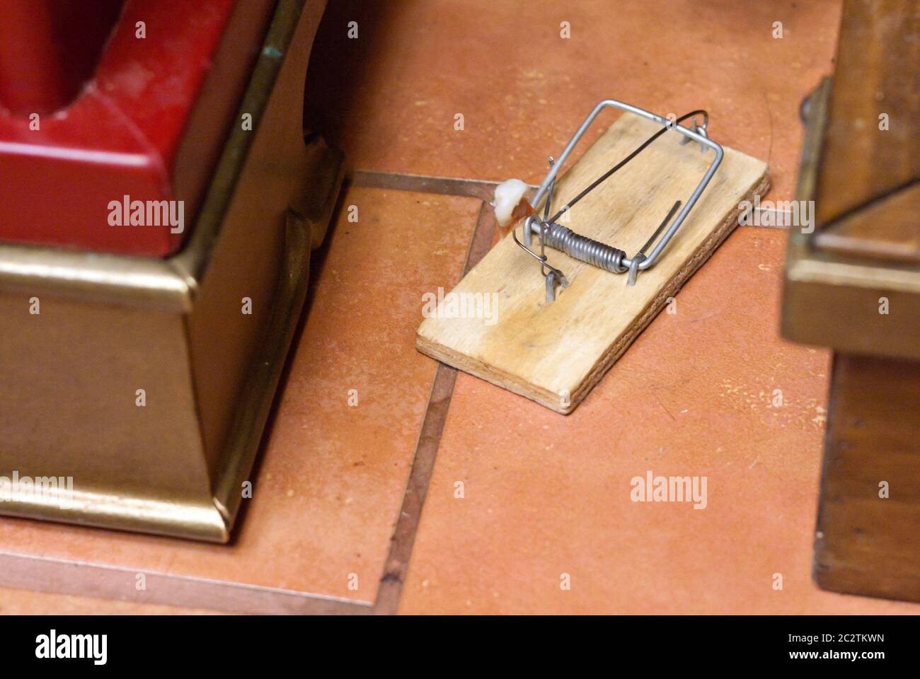 Mousetrap on the floor waiting for rodent Stock Photo