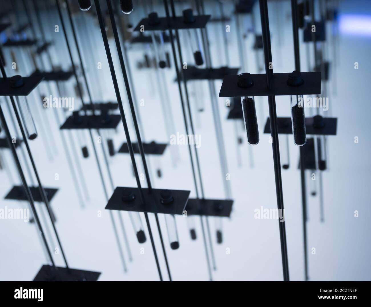 Many test tubes with samples in lab Stock Photo - Alamy