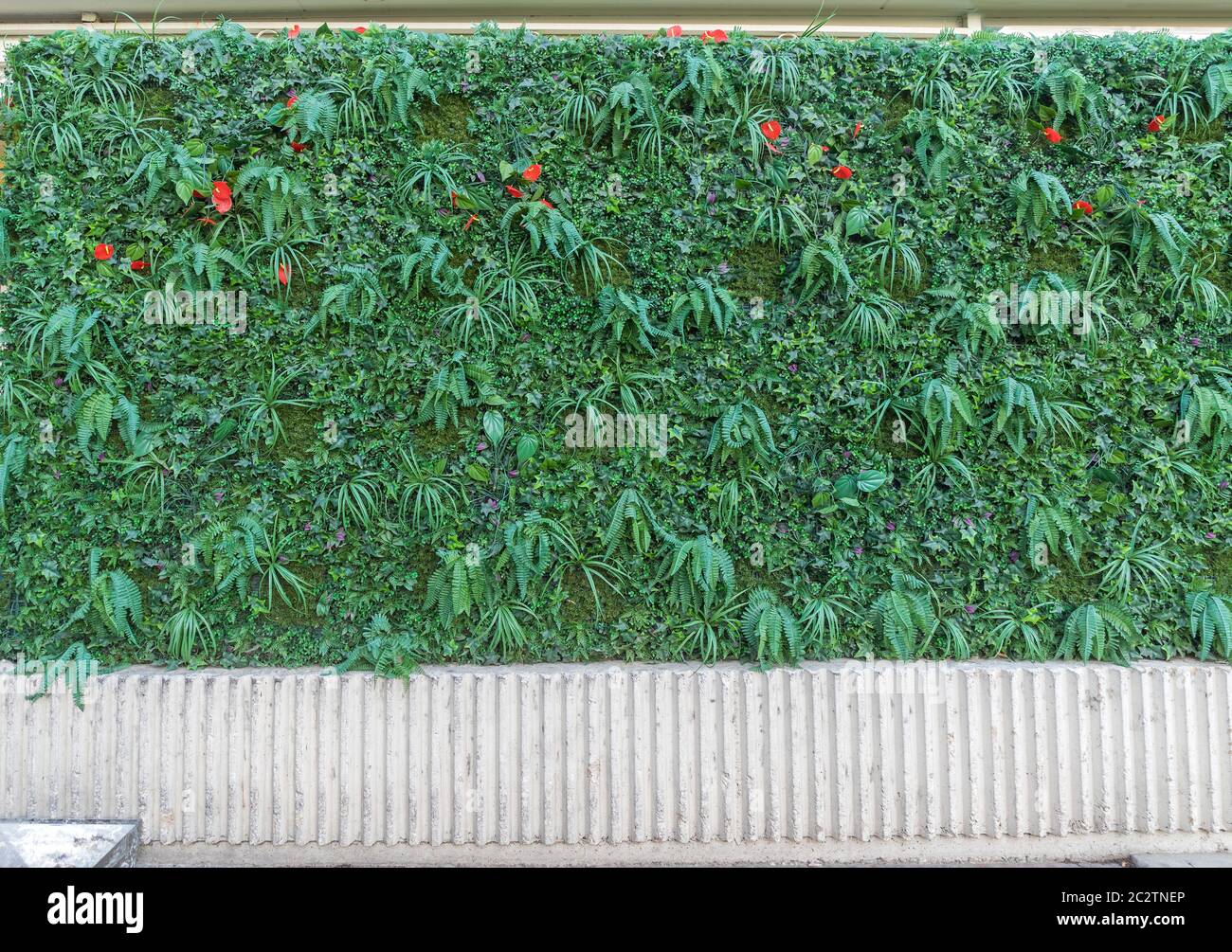 Artificial Flowers and Green Plants Hedge Wall Stock Photo Alamy