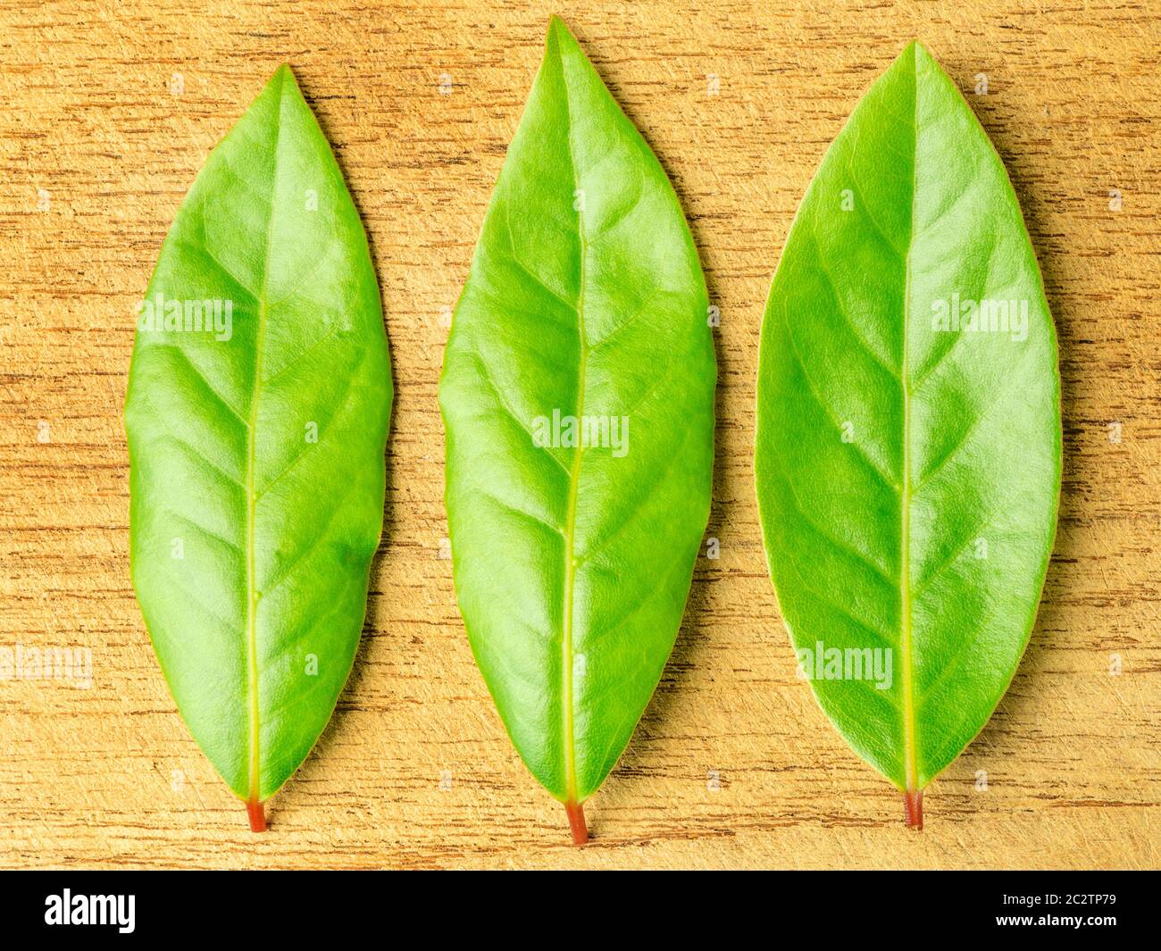 Three fresh bay leaves on a wooden chopping board Stock Photo