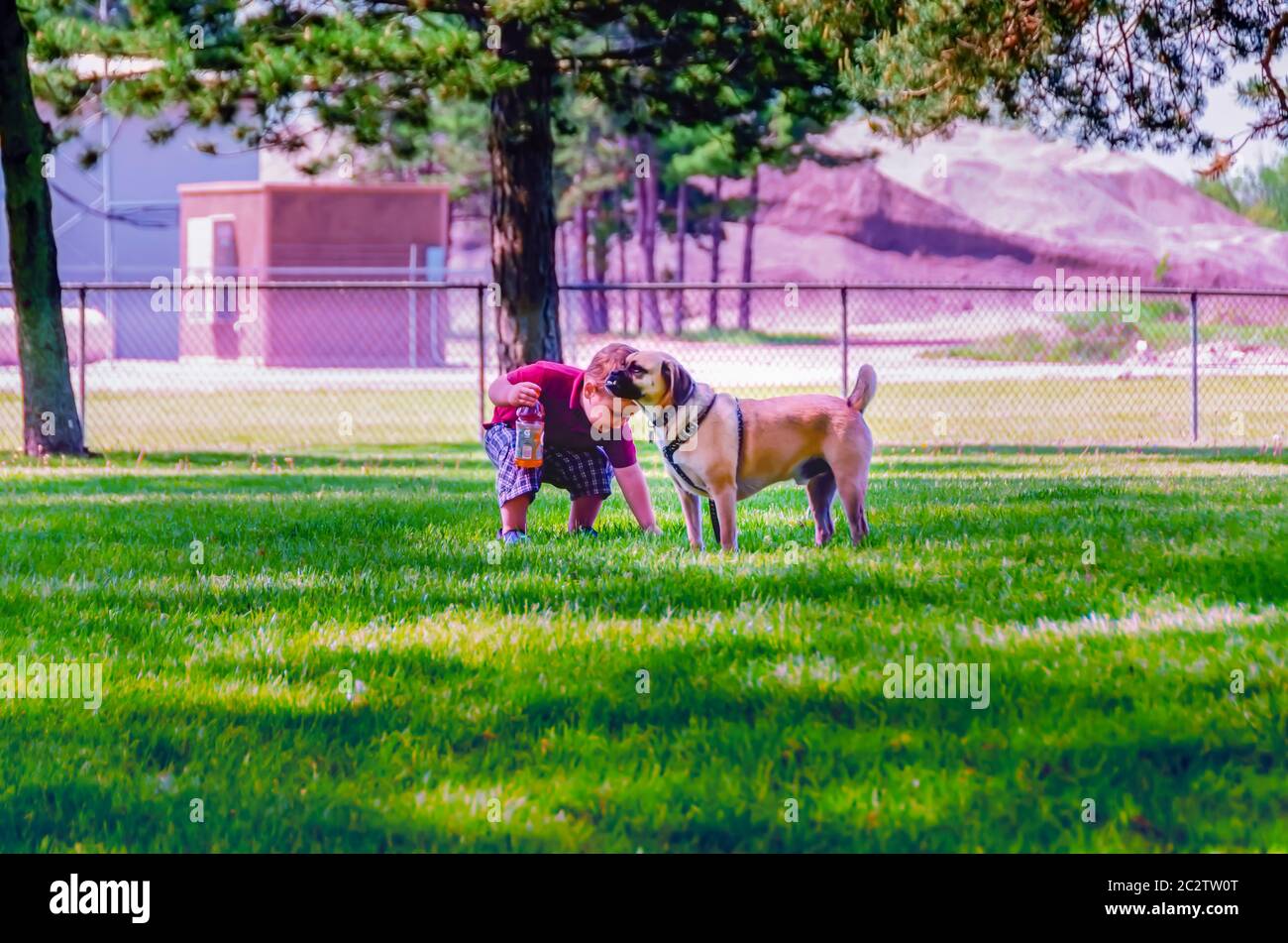 Can You Give Gatorade To A Dog