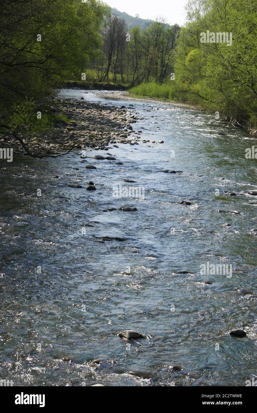 Creek flowing down through the woods in Maramures, Romania Stock Photo