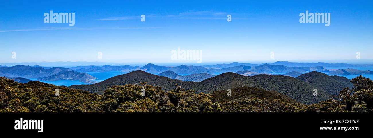 Malborough Sounds, South Island, New Zealand, Oceania. Stock Photo