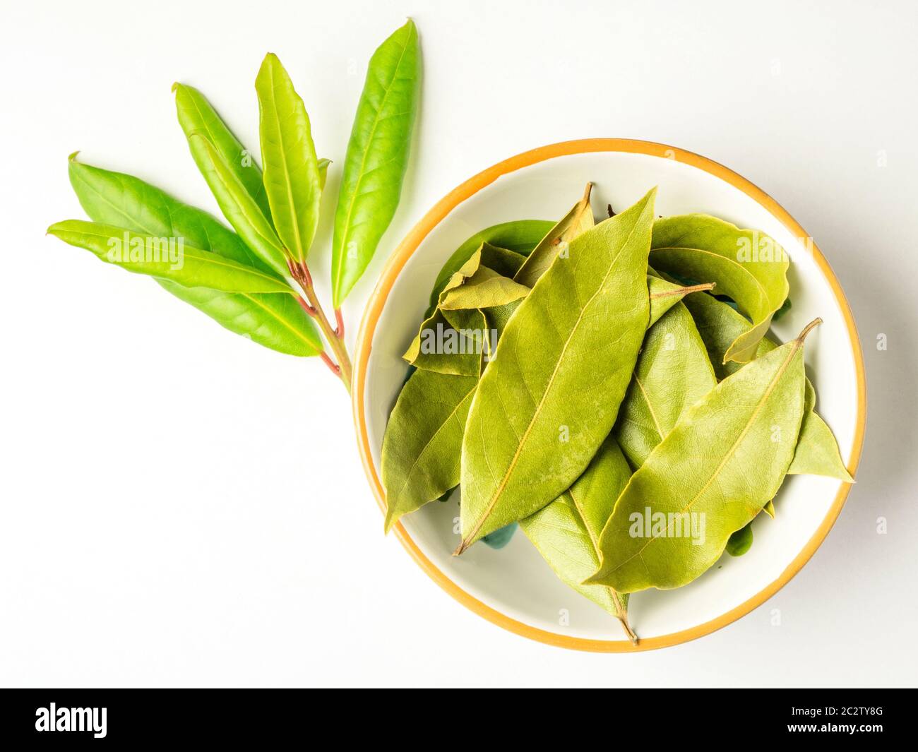 A small dish of dried bay leaves with a sprig of fresh bay isolated on
