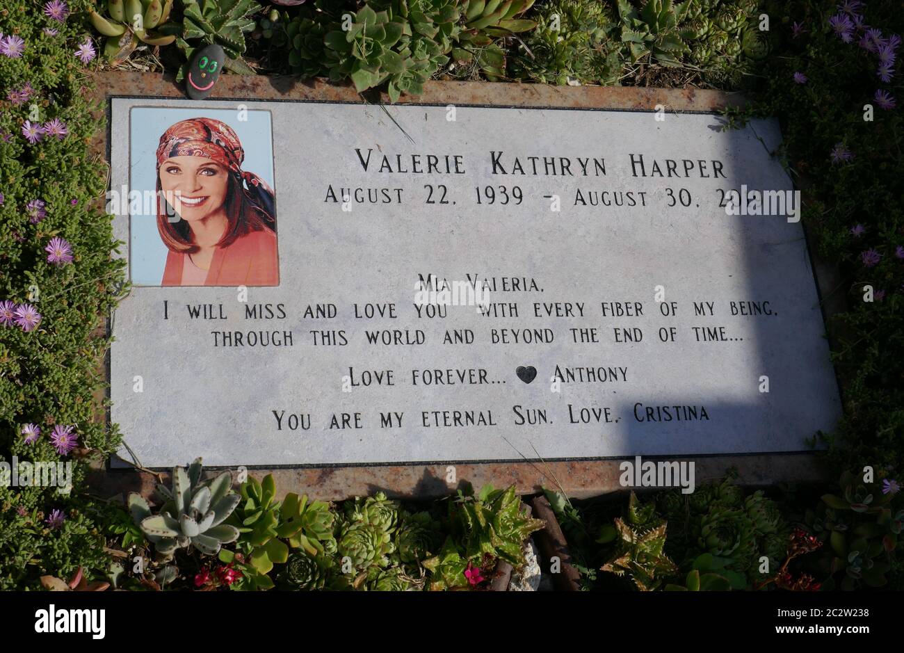 Hollywood, California, USA 17th June 2020 A general view of atmosphere