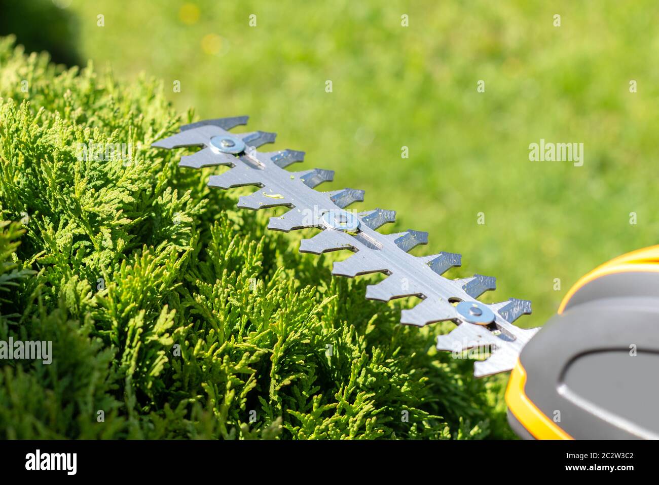 steel short blades of a compact cordless electric hedge trimmer