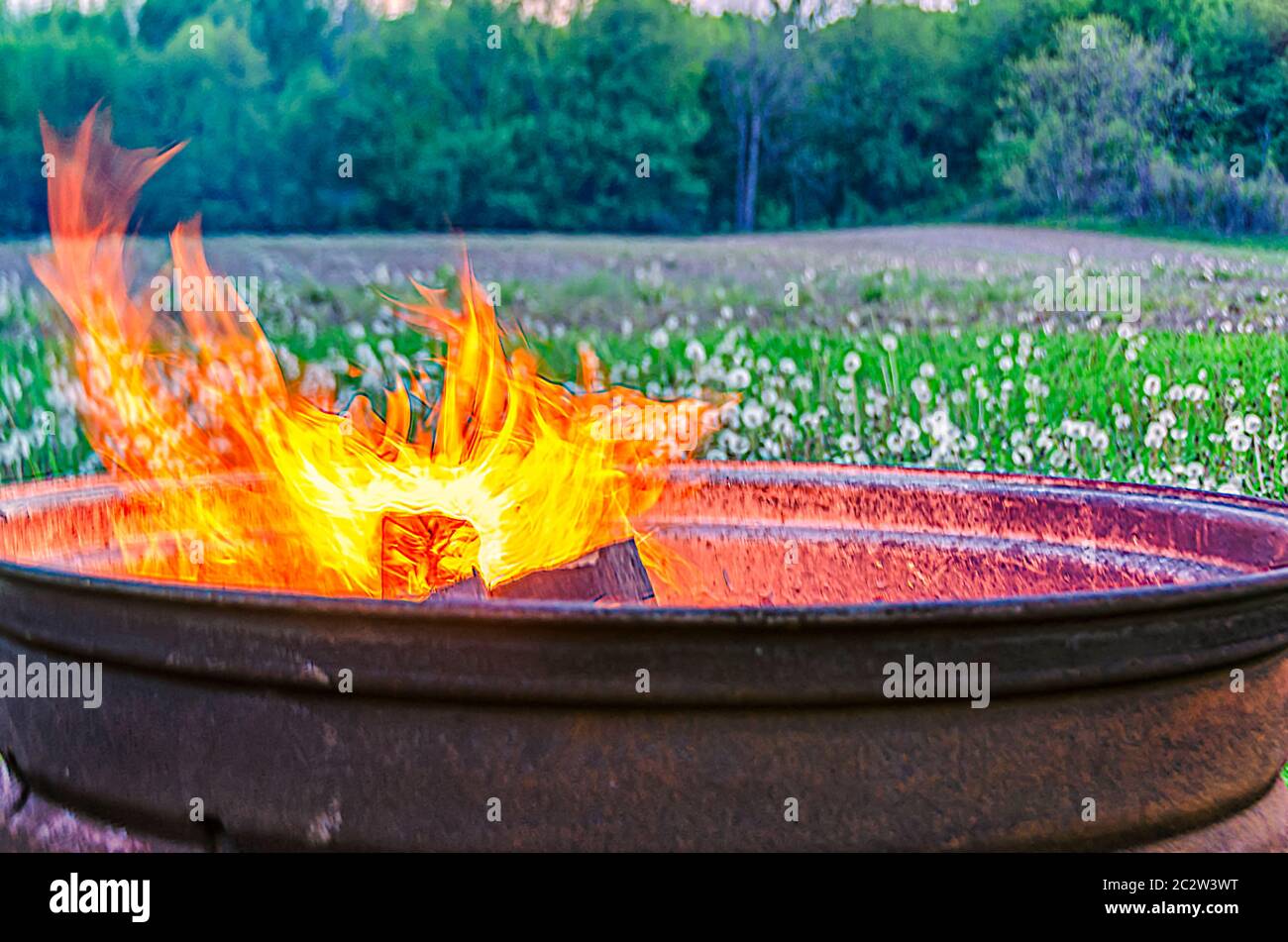 Flames rise from logs being burnt in a bonfire lit inside a metal drum. Stock Photo