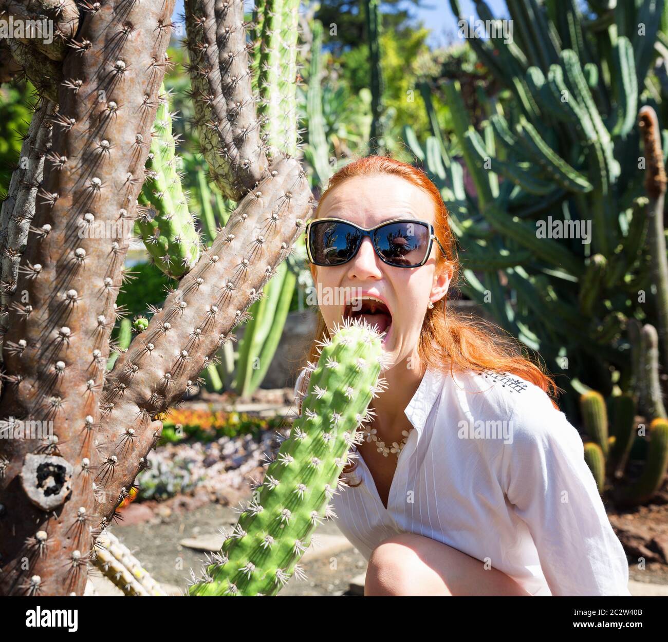 Woman in sun glasses bites cactus in the garden, Portugal, Madeira Stock Photo