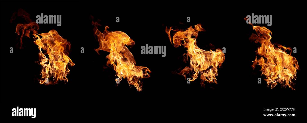 Group of real and hot flames are burning on a black background Stock ...
