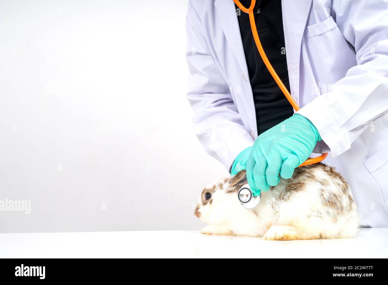 Fluffy lung hires stock photography and images Alamy