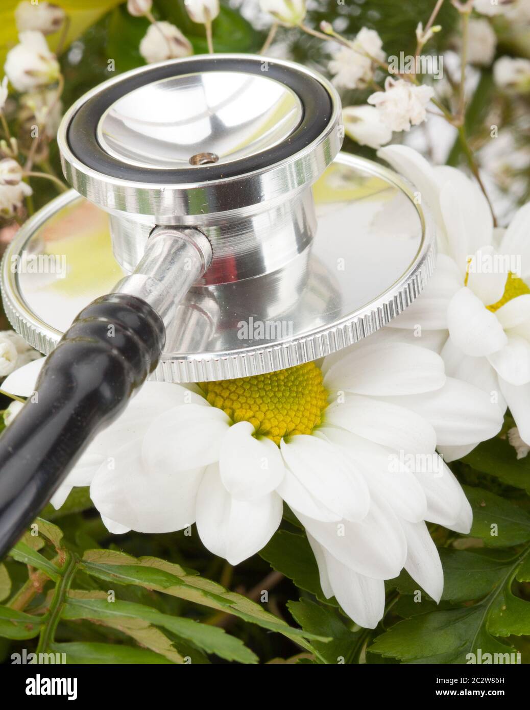 Floral stethoscope hi-res stock photography and images - Alamy