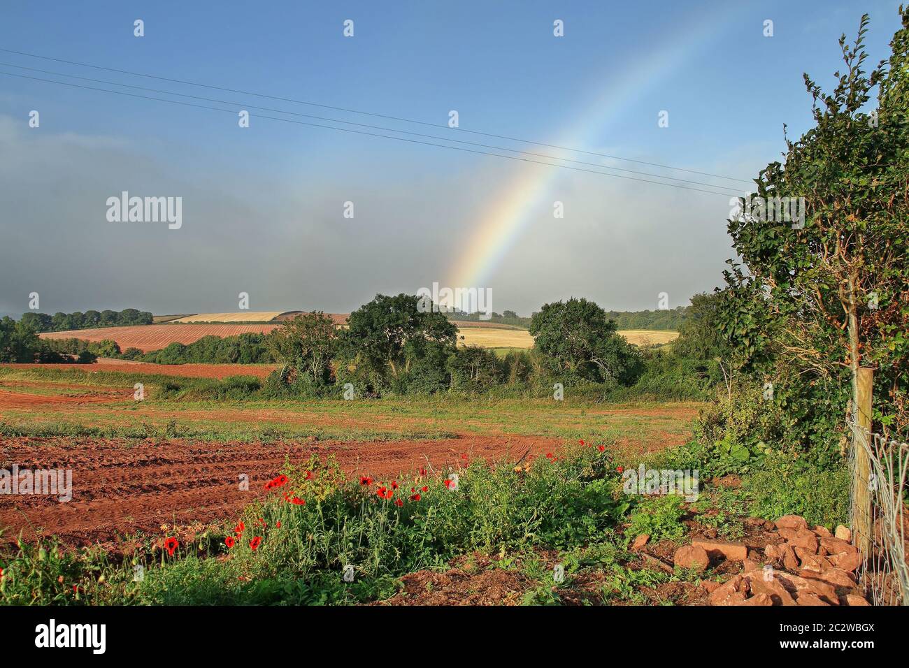 Rainbow in an English rural landscape in Somerset Stock Photo - Alamy