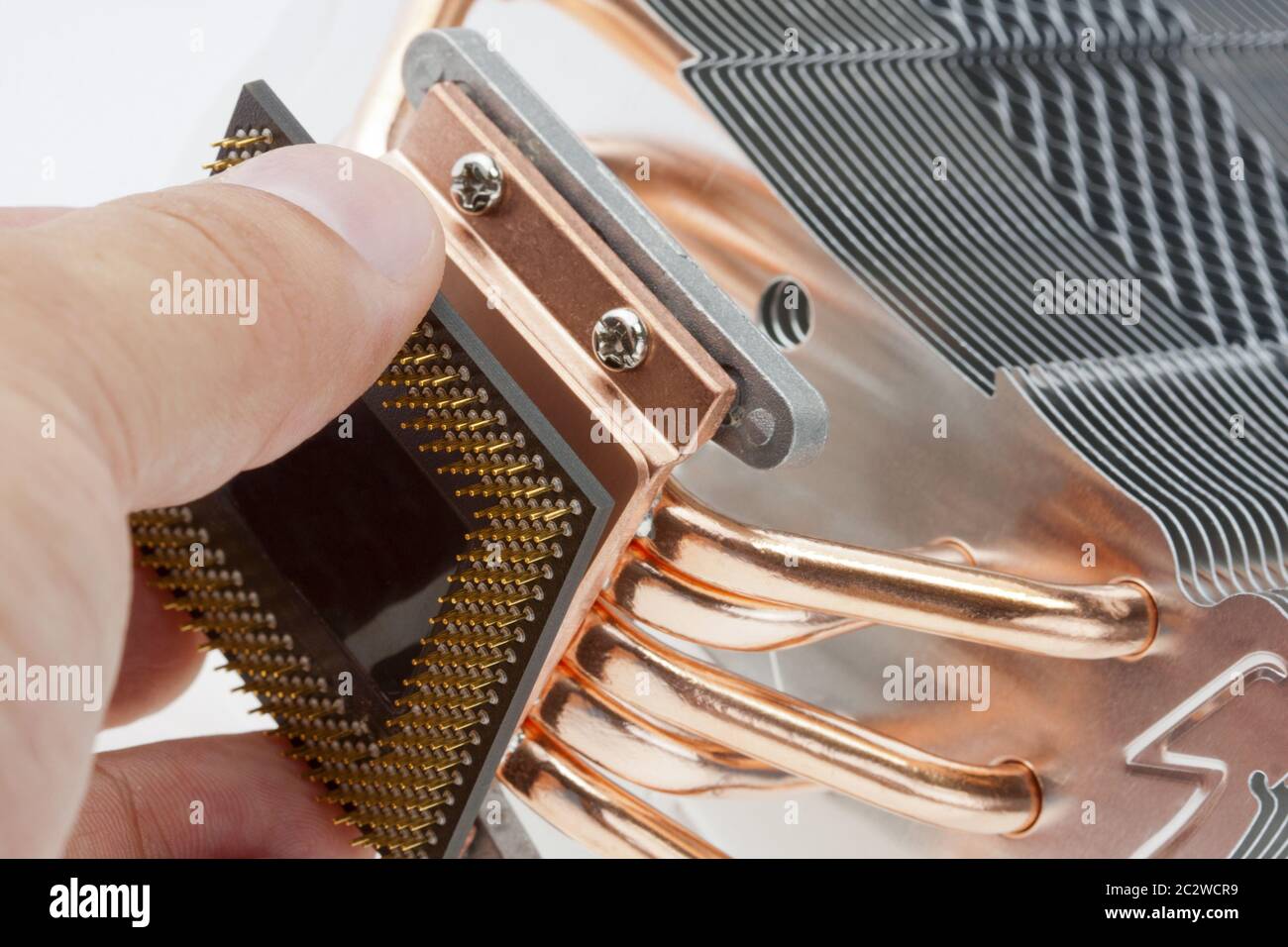 Engineer installing computer processor to big cooler Stock Photo Alamy